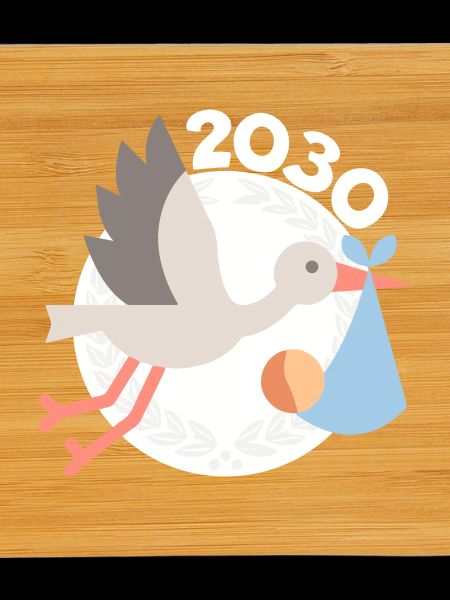 Cigogne avec bébé 2030