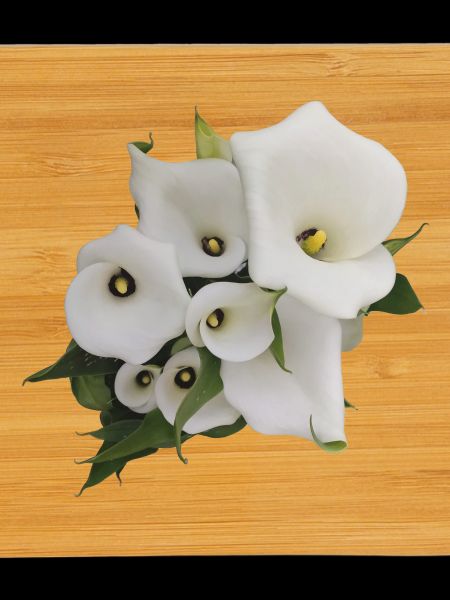 CALLAS BLANCS