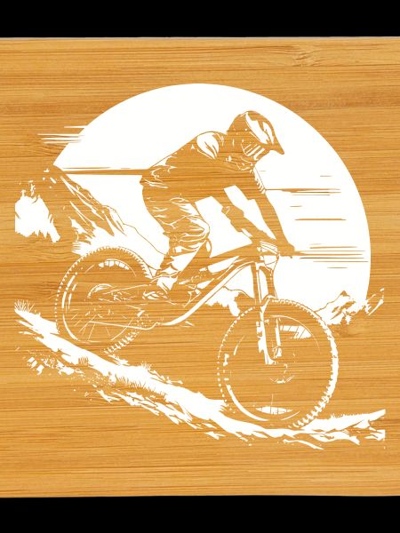 Graphismes de VTT
