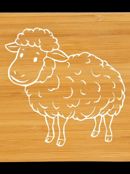 Sheep Sheep Lamb