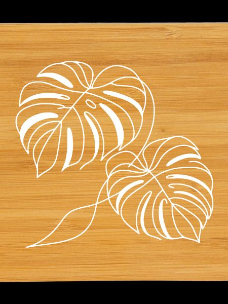 Monstera Zwei Blätter Weiß