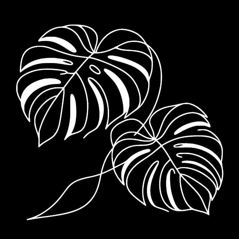 Monstera