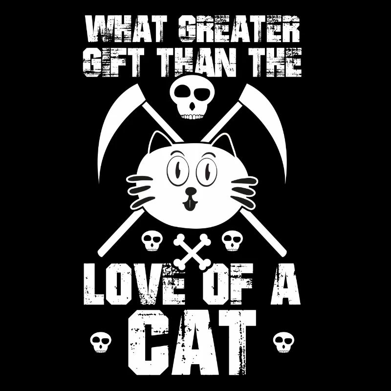 Chat chaton miaou chat domestique oeil de chat