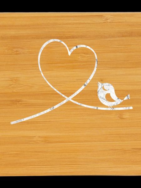 Bird Budgerigar Parrot Heart