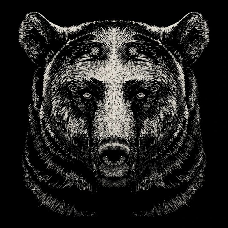 Bär