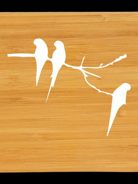 Oiseaux sur la branche