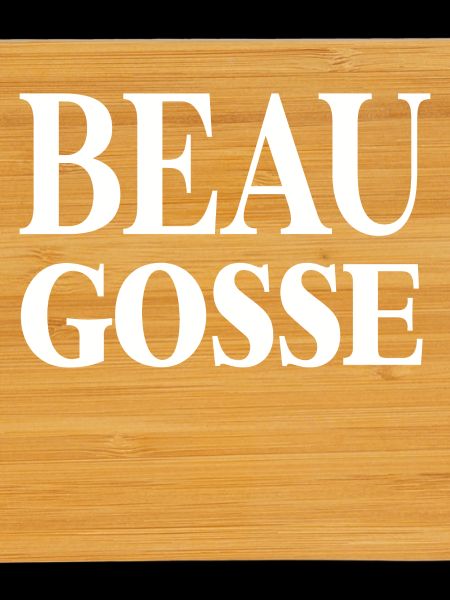 BEAU GOSSE