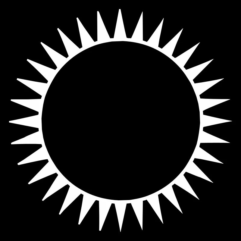 Die schwarze Sonne