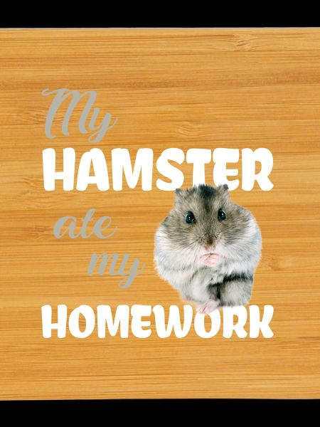 Hamster homework Funny saying