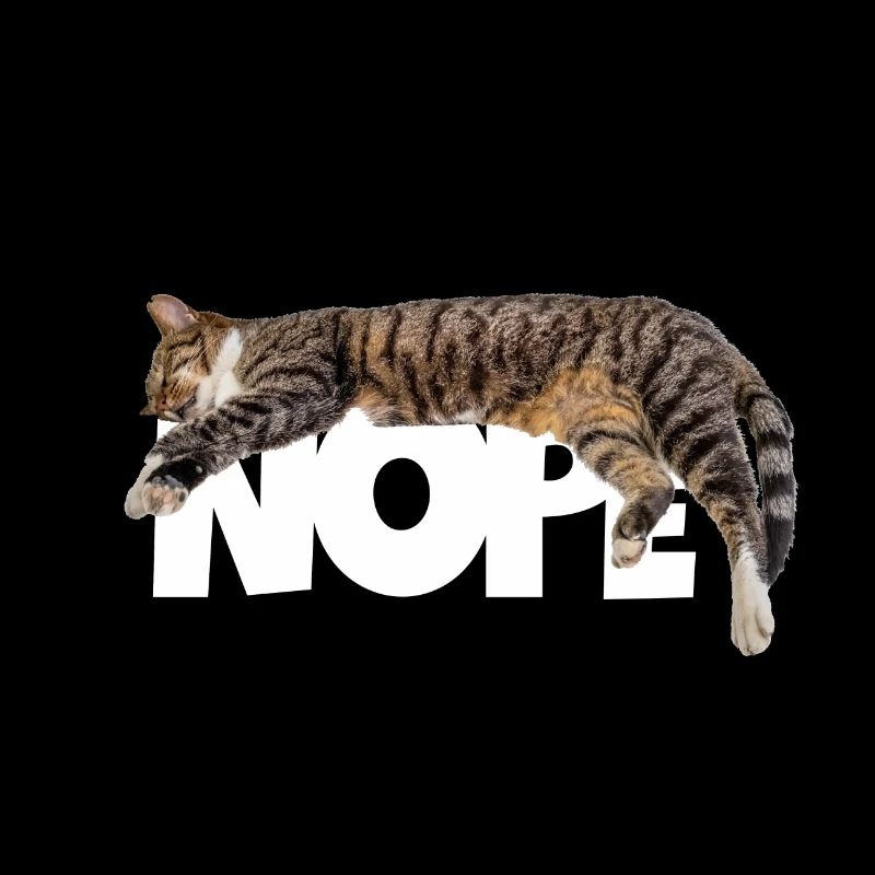Nope cat