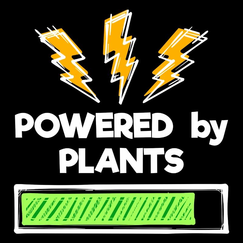 Environmentally Conscious Vegan Statement