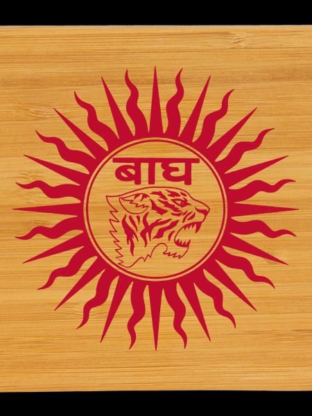 Tigre rouge en Inde
