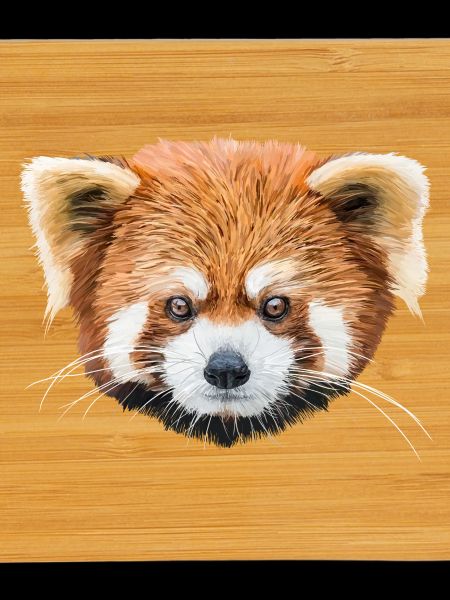 Red panda