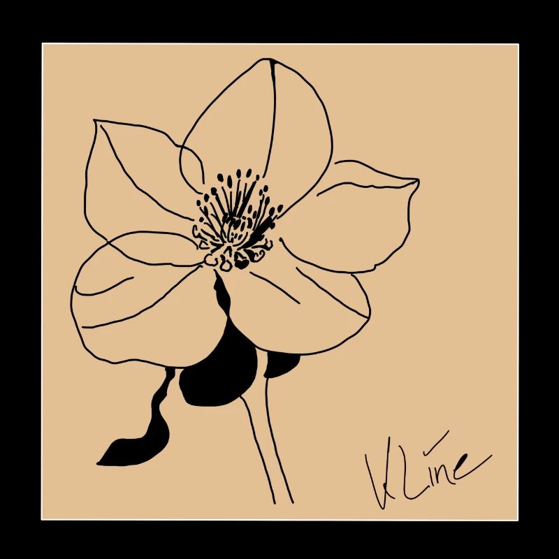 Affiche Rose de Noël