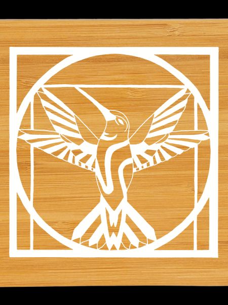 Vitruvianer weißer Vogel