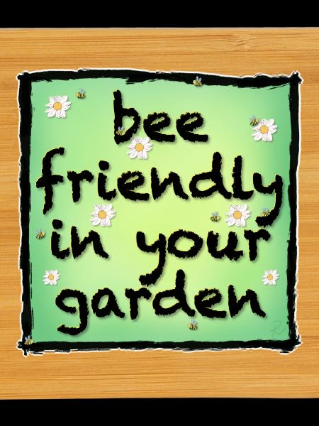 Bee friendly in your garden