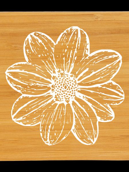 Fleur, Blanc, Fleur Blanche