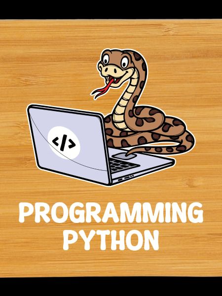 Skripting Programmierer Computer Debug Developer