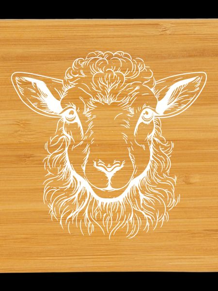 Lamb Portrait