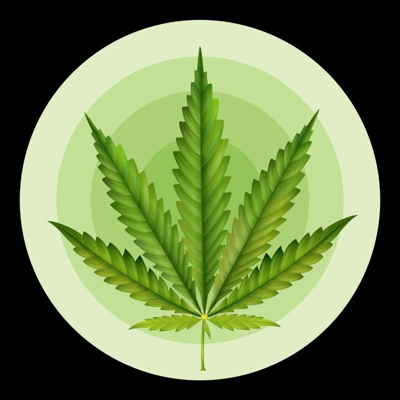 Circular Grafic Cannabis Leaf
