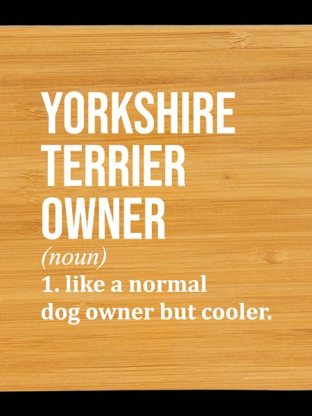 Yorkshire Terrier Yorkshire Terrier