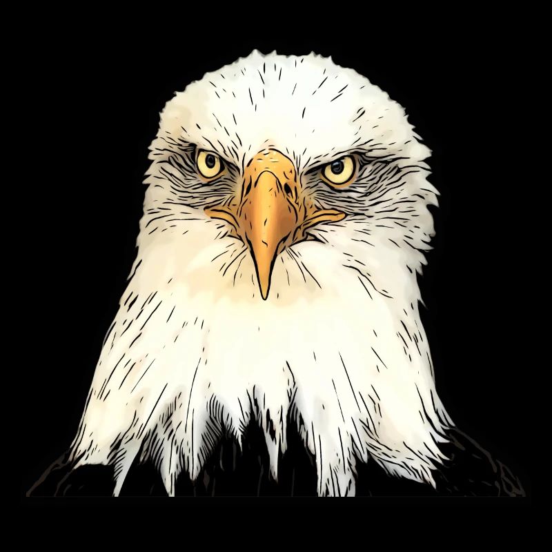 Eagle head illustration with intense look