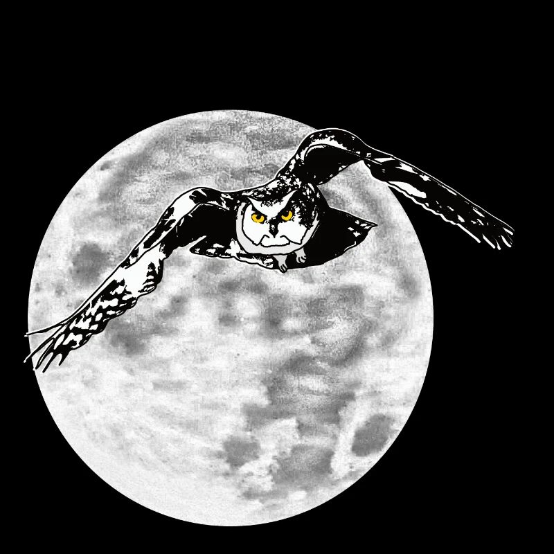 Hibou devant la lune