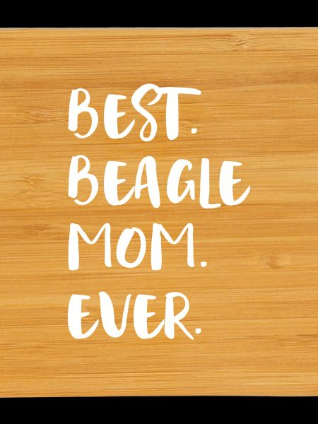 Beagle