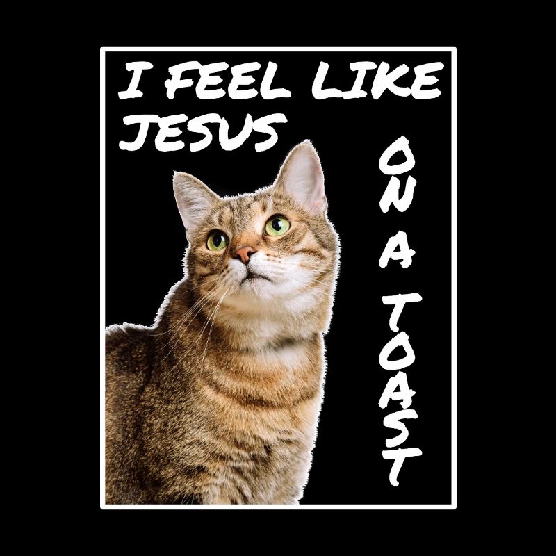 Jesus Katze