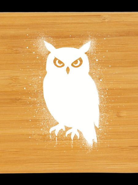 Funny Owl