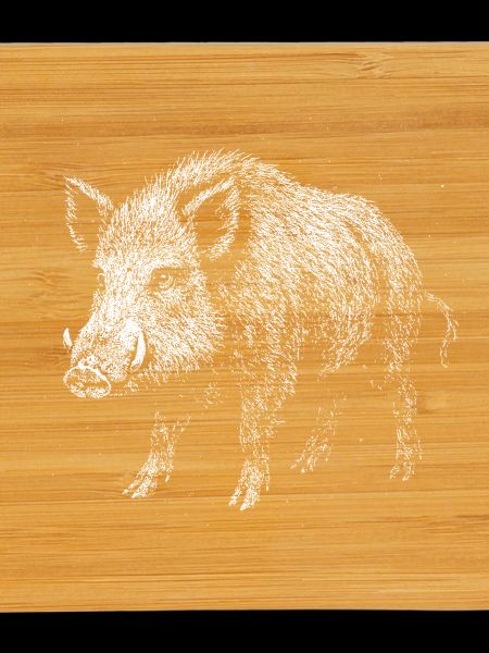 Wild boar
