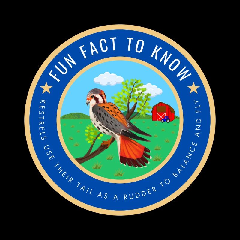 Kestrel fact