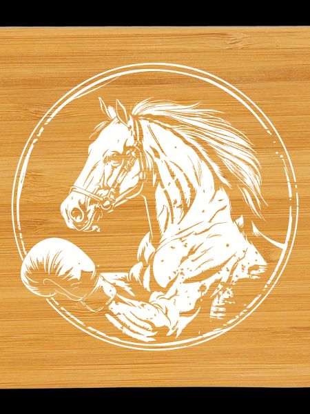 Cheval Boxer Boxe MMA