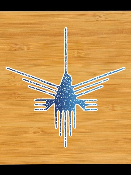 Nazca Bird on Starry Background