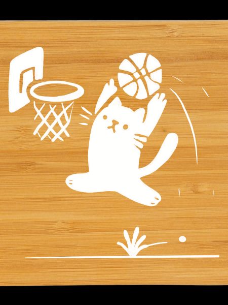 Chat de basket-ball