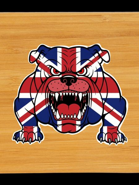 Britische Bulldogge