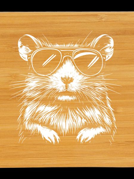 Cool Hamster Sunglasses