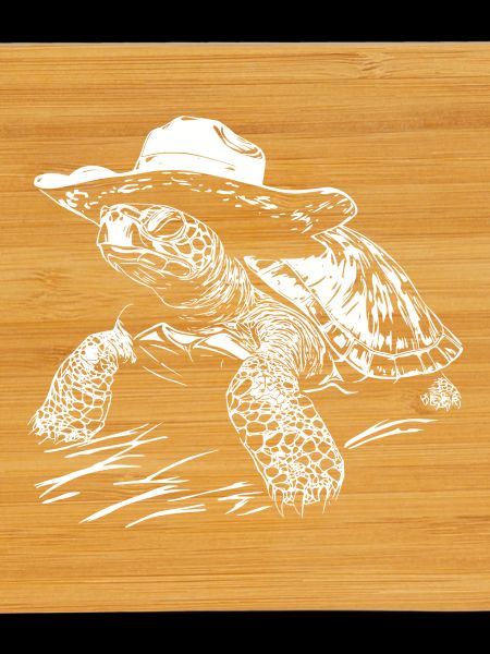 Turtle Cowboy Hat Western