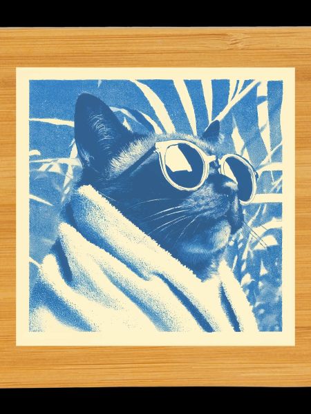 Cool Retro Cat Design
