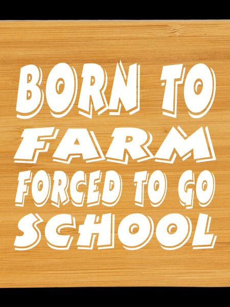 Ferme