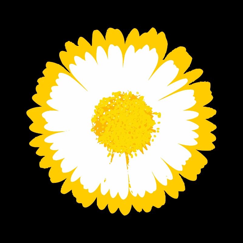 Daisy Sunburst Grafik