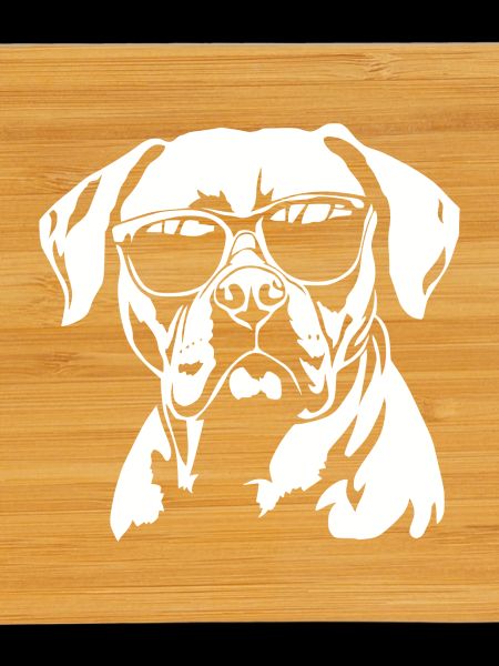 Boxer Dog Sunglasses