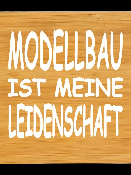 Modélisme