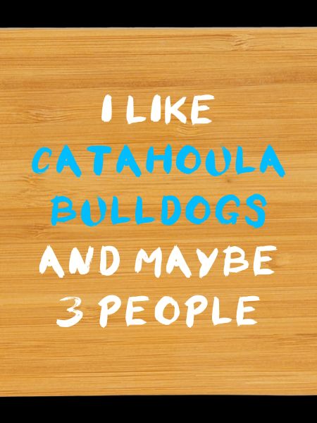 Catahoula Bulldog