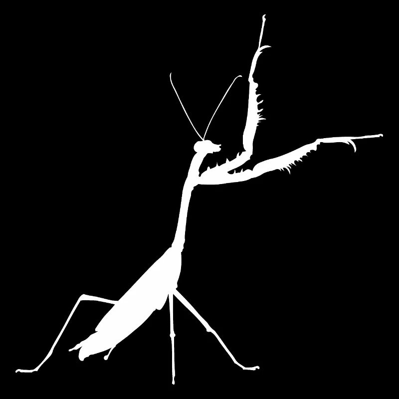 Praying mantis white