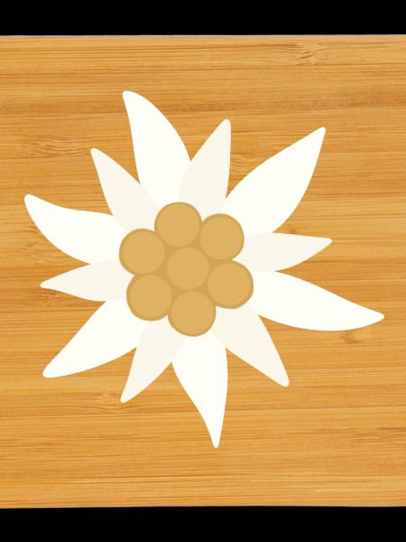 Fleur d’Edelweiss