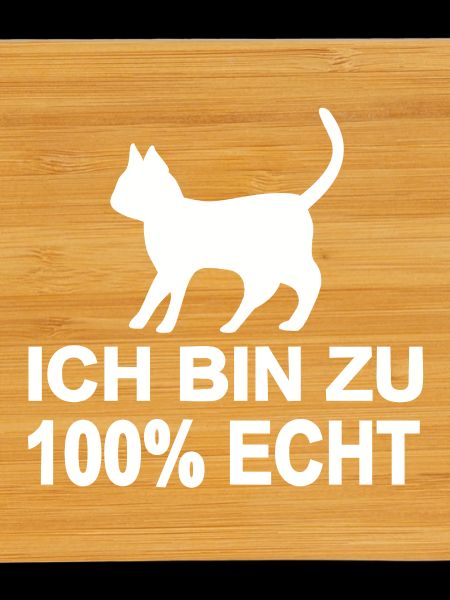 Katze