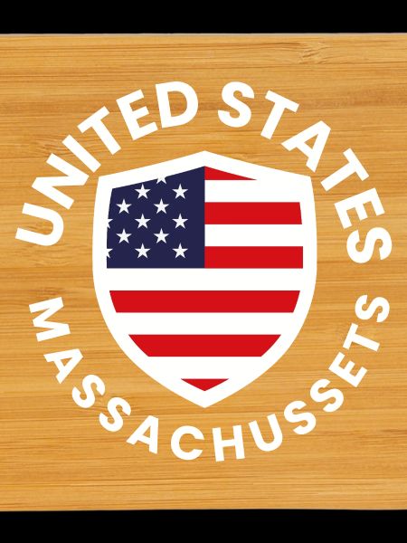 American shield with flag design