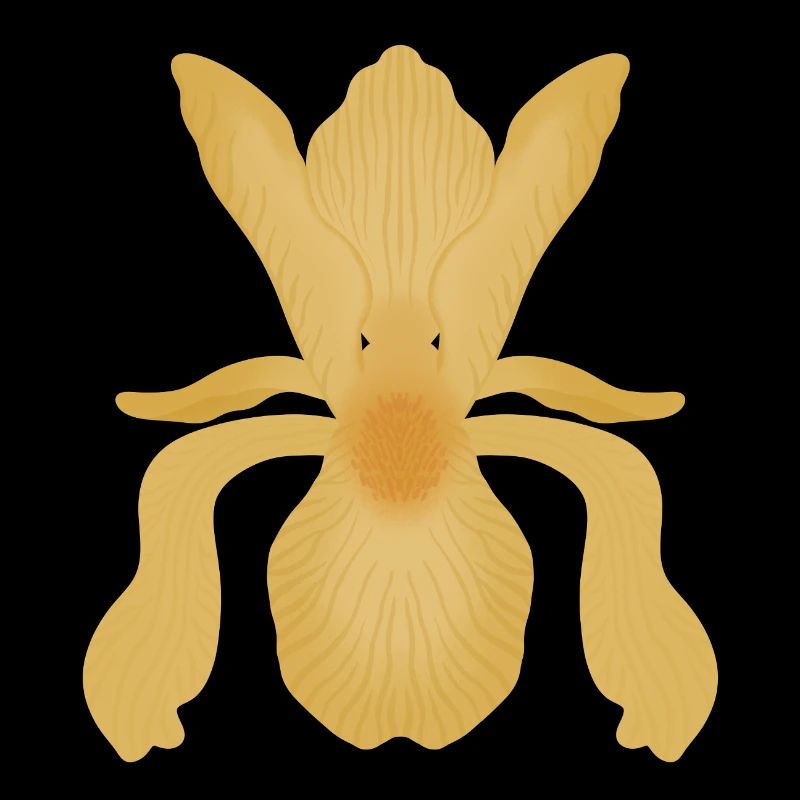 Golden Iris Bloom
