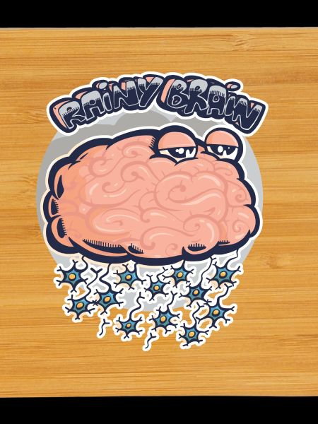 Rainy brain